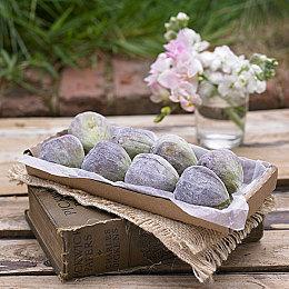 模拟冒险游戏《亡灵法师》上线Steam 7月14日发售